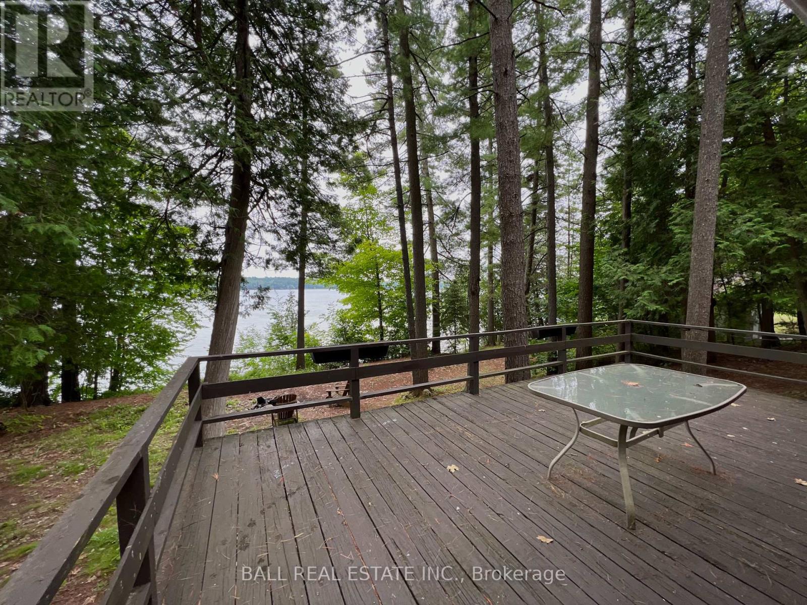 8 Fire Route 48a, Trent Lakes, Ontario  K0L 1J0 - Photo 8 - X12115079
