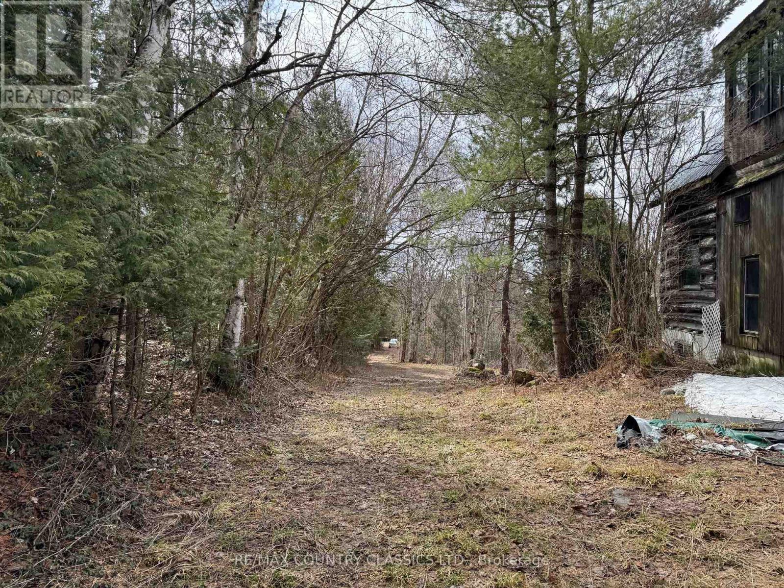 790 Mcdonald Mine Road, Hastings Highlands (Monteagle Ward), Ontario  K0L 1C0 - Photo 2 - X12115088