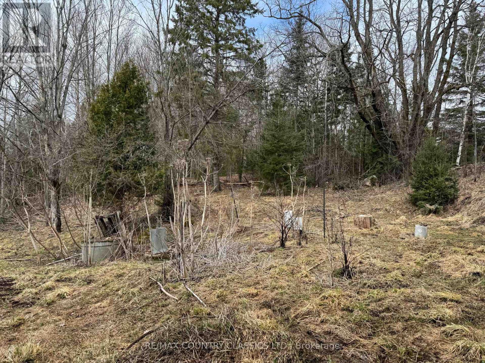 790 Mcdonald Mine Road, Hastings Highlands (Monteagle Ward), Ontario  K0L 1C0 - Photo 4 - X12115088
