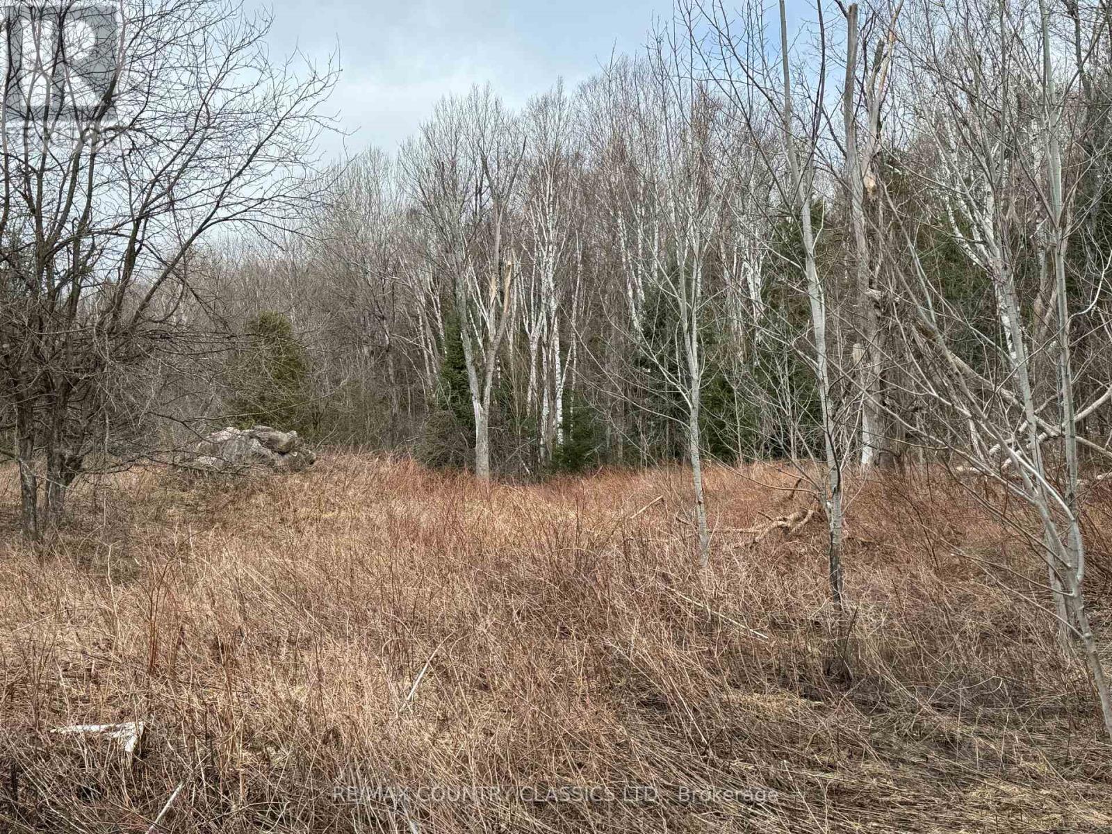 790 Mcdonald Mine Road, Hastings Highlands (Monteagle Ward), Ontario  K0L 1C0 - Photo 6 - X12115088