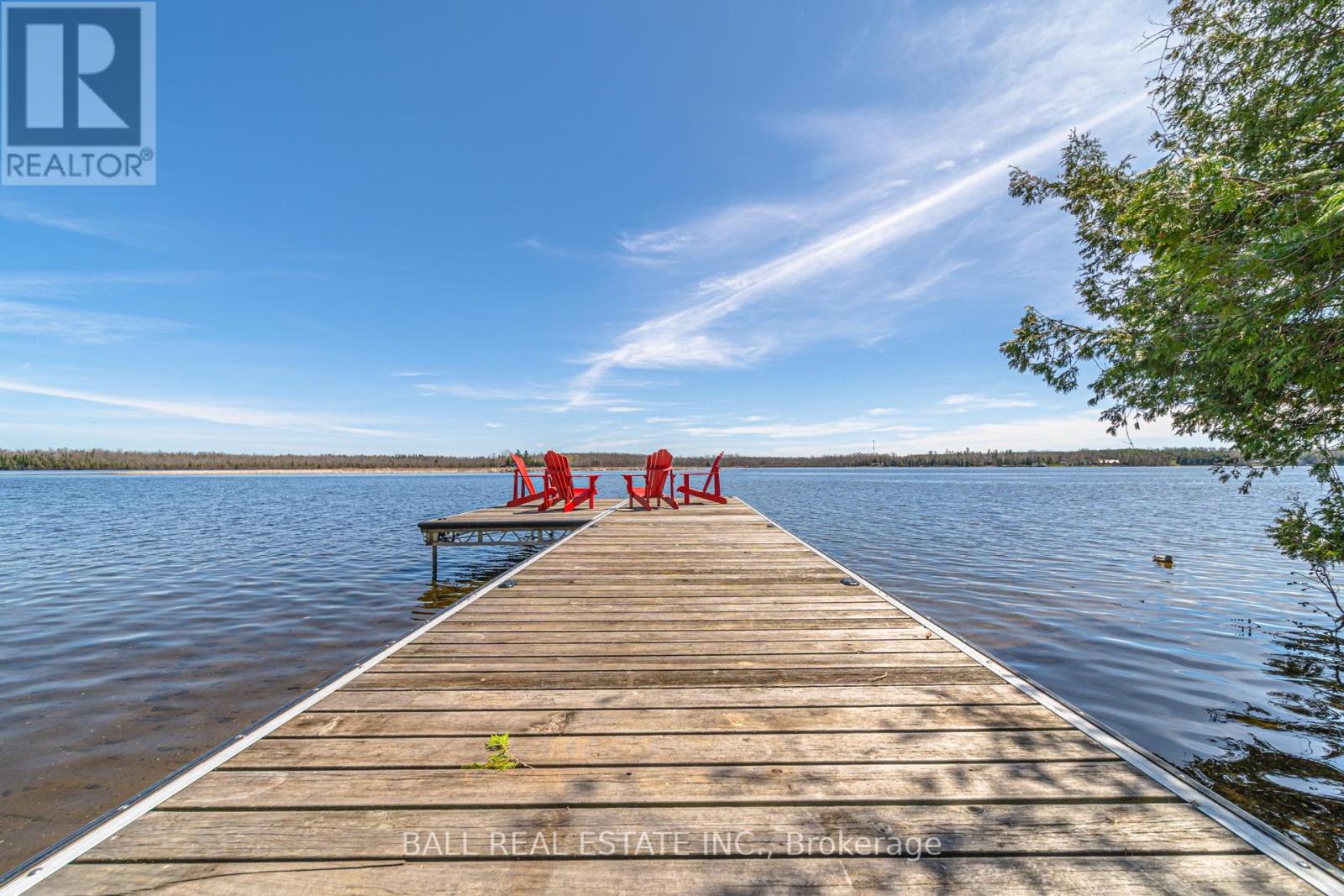 1851 Young's Point Road, Selwyn, Ontario  K0L 2H0 - Photo 38 - X12115291