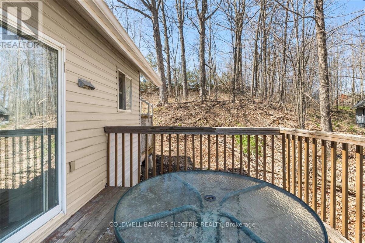 38 Cliffside Drive, Kawartha Lakes, Ontario  K0L 1T0 - Photo 29 - X12115357