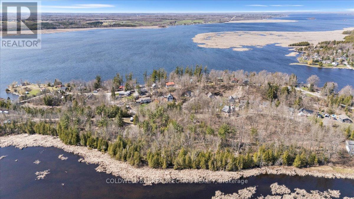 38 Cliffside Drive, Kawartha Lakes, Ontario  K0L 1T0 - Photo 40 - X12115357