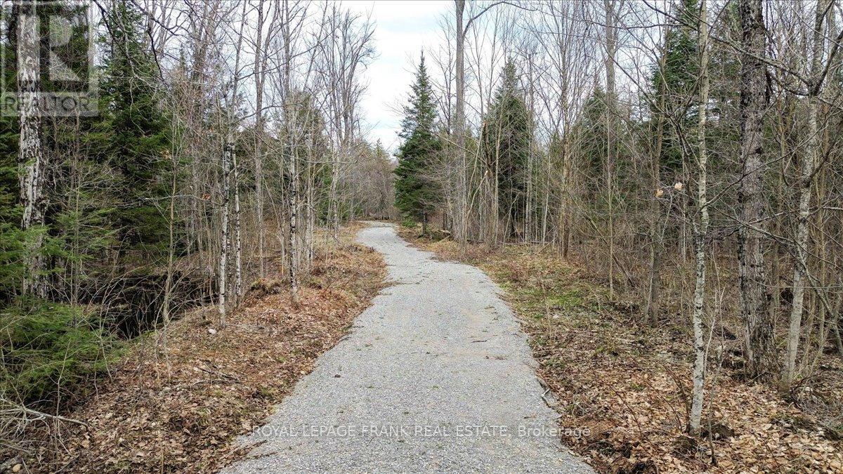 173 Lean Drive, North Kawartha, Ontario  K0L 1A0 - Photo 10 - X12117296