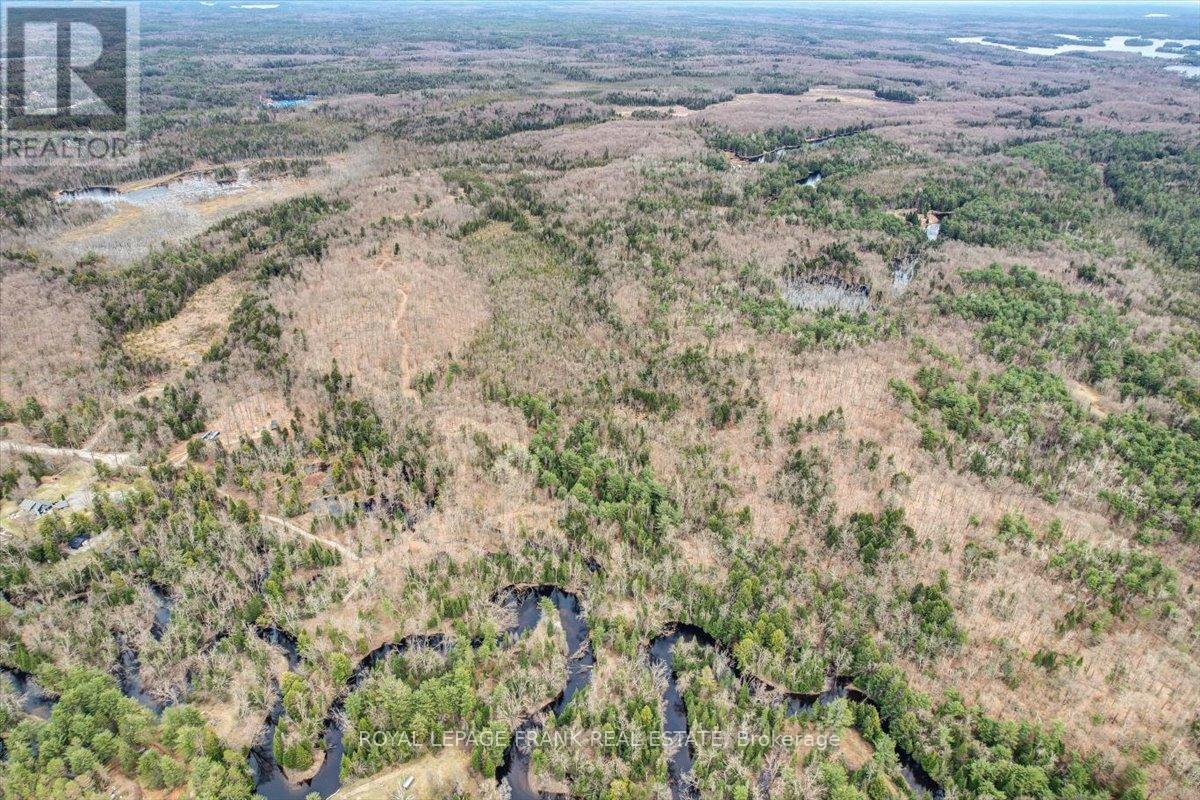 173 Lean Drive, North Kawartha, Ontario  K0L 1A0 - Photo 13 - X12117296