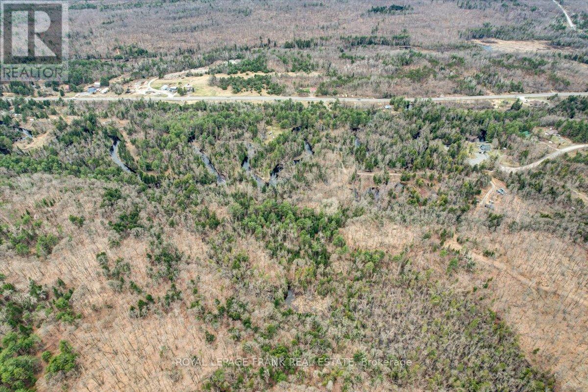 173 Lean Drive, North Kawartha, Ontario  K0L 1A0 - Photo 18 - X12117296