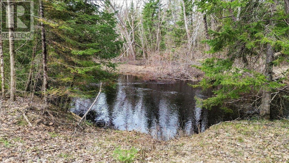 173 Lean Drive, North Kawartha, Ontario  K0L 1A0 - Photo 2 - X12117296