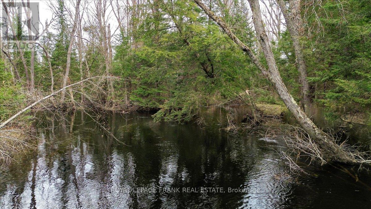 173 Lean Drive, North Kawartha, Ontario  K0L 1A0 - Photo 30 - X12117296