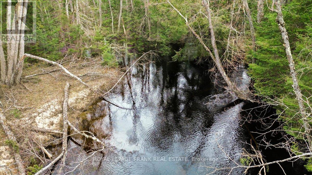 173 Lean Drive, North Kawartha, Ontario  K0L 1A0 - Photo 31 - X12117296