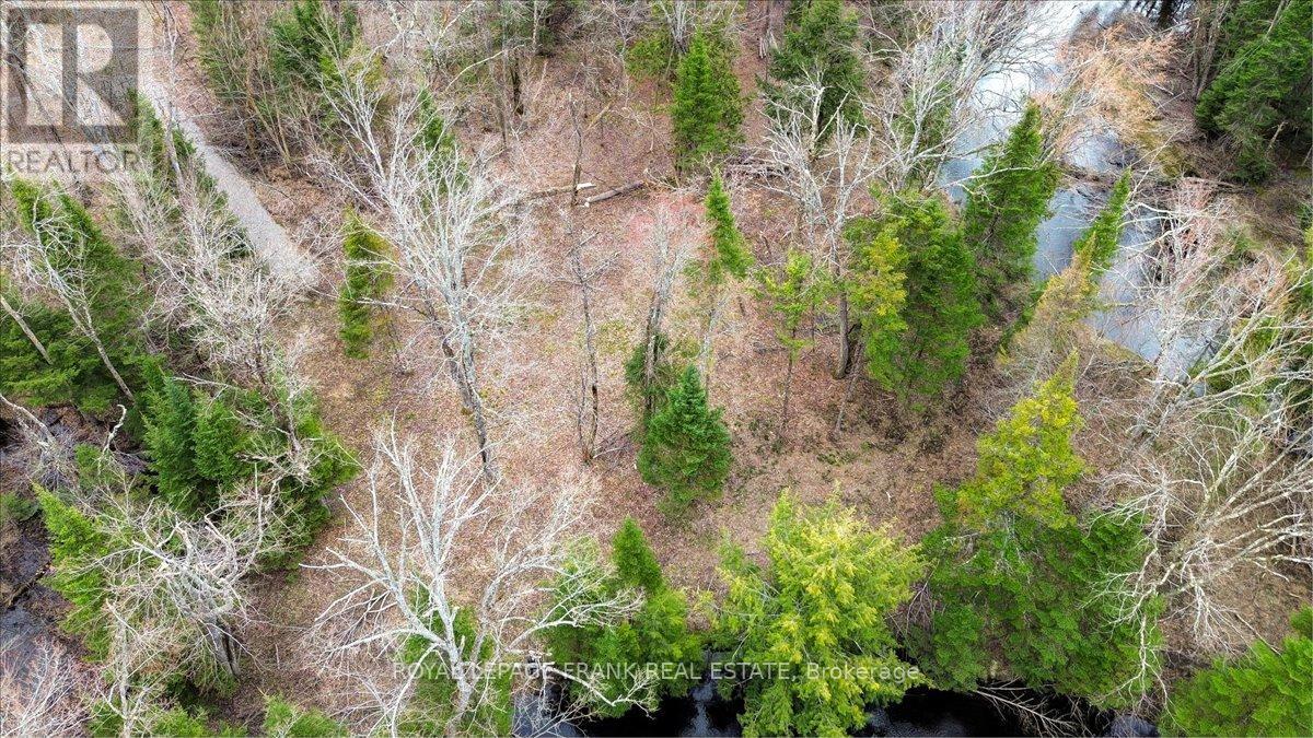 173 Lean Drive, North Kawartha, Ontario  K0L 1A0 - Photo 34 - X12117296