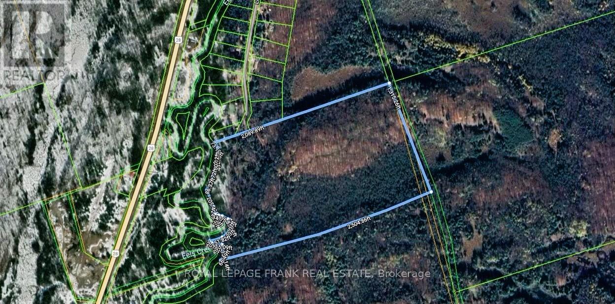 173 Lean Drive, North Kawartha, Ontario  K0L 1A0 - Photo 38 - X12117296