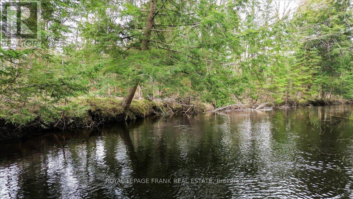 173 Lean Drive, North Kawartha, Ontario  K0L 1A0 - Photo 4 - X12117296