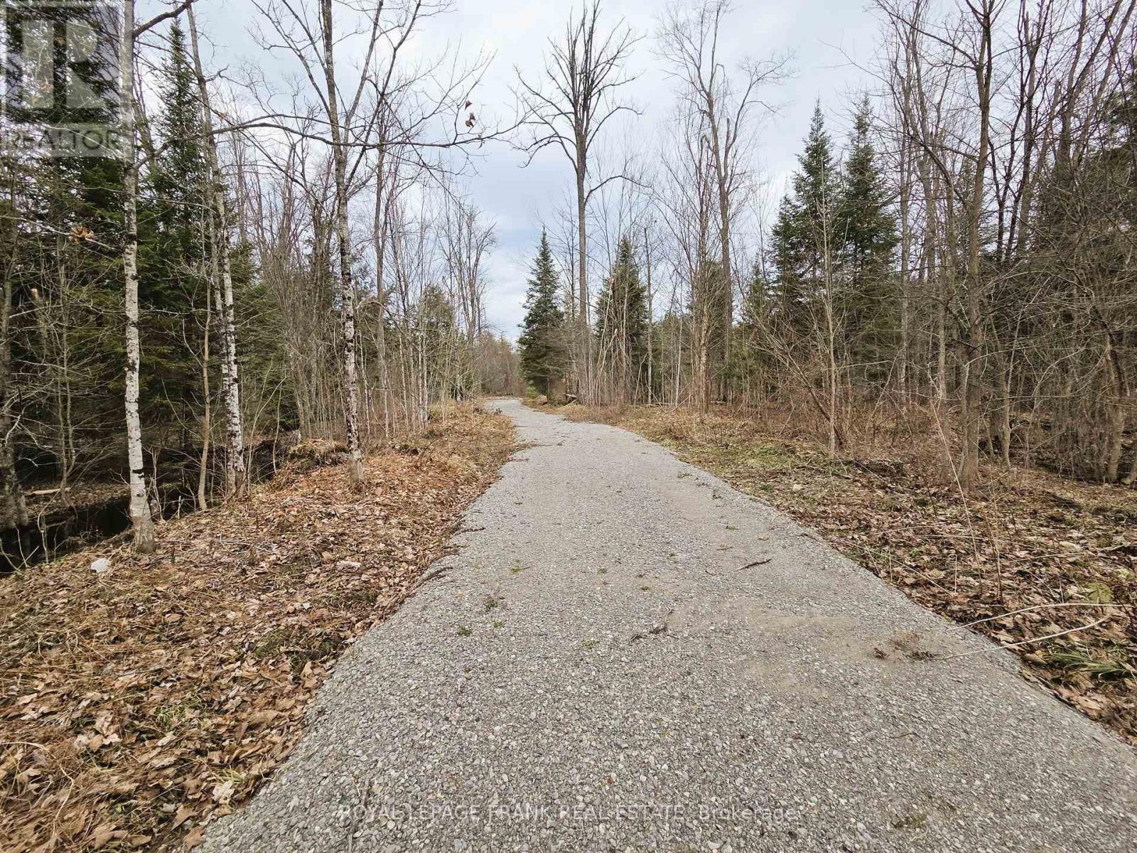 173 Lean Drive, North Kawartha, Ontario  K0L 1A0 - Photo 5 - X12117296