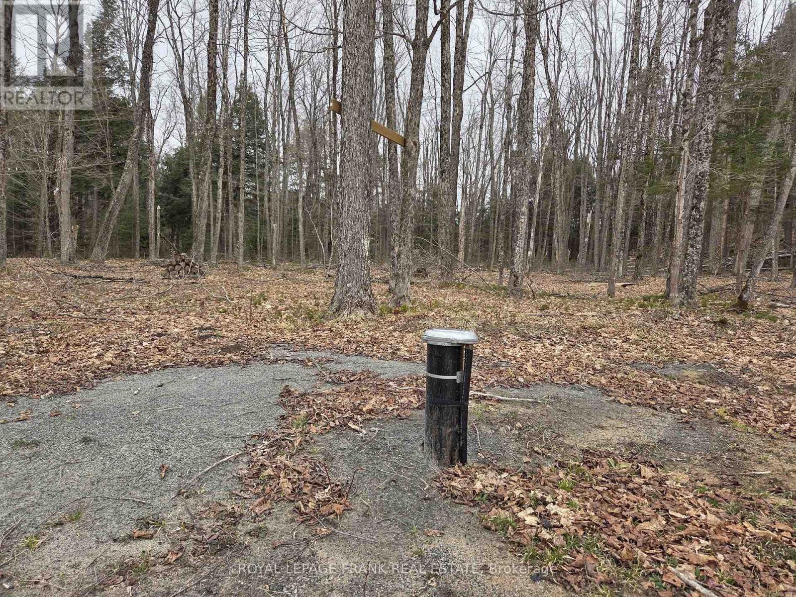 173 Lean Drive, North Kawartha, Ontario  K0L 1A0 - Photo 6 - X12117296