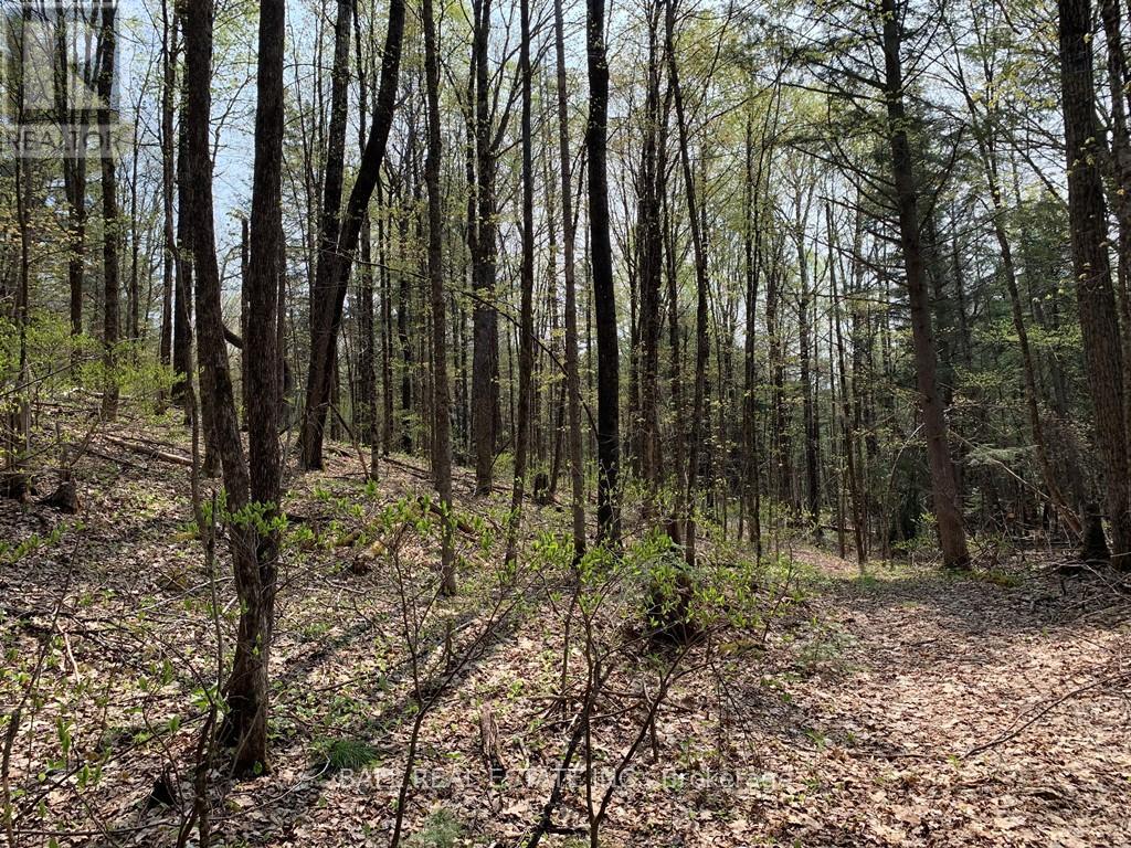 0 Johnson Road, North Kawartha, Ontario  K0L 1A0 - Photo 13 - X12117460