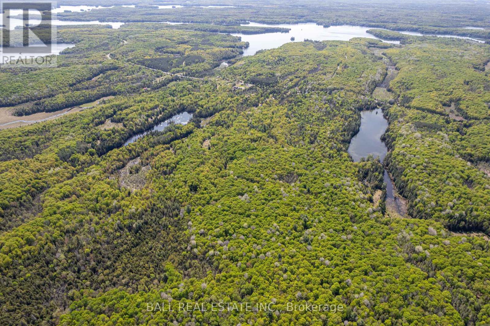 0 Johnson Road, North Kawartha, Ontario  K0L 1A0 - Photo 16 - X12117460