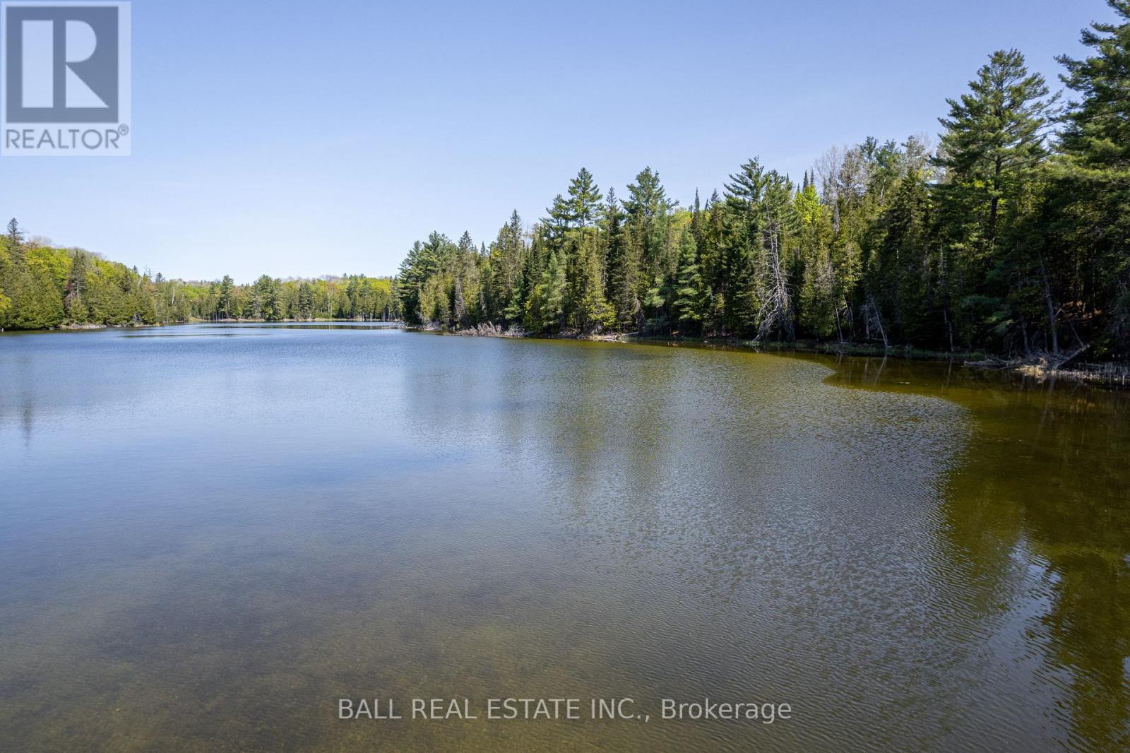 0 Johnson Road, North Kawartha, Ontario  K0L 1A0 - Photo 2 - X12117460
