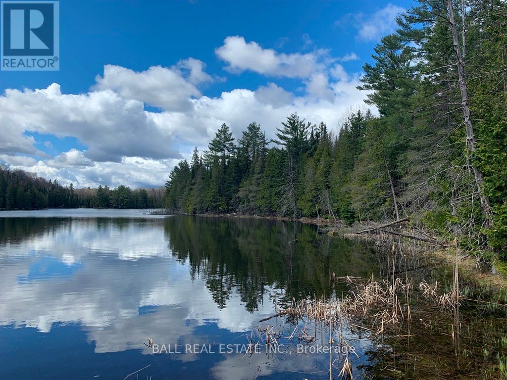 0 Johnson Road, North Kawartha, Ontario  K0L 1A0 - Photo 3 - X12117460