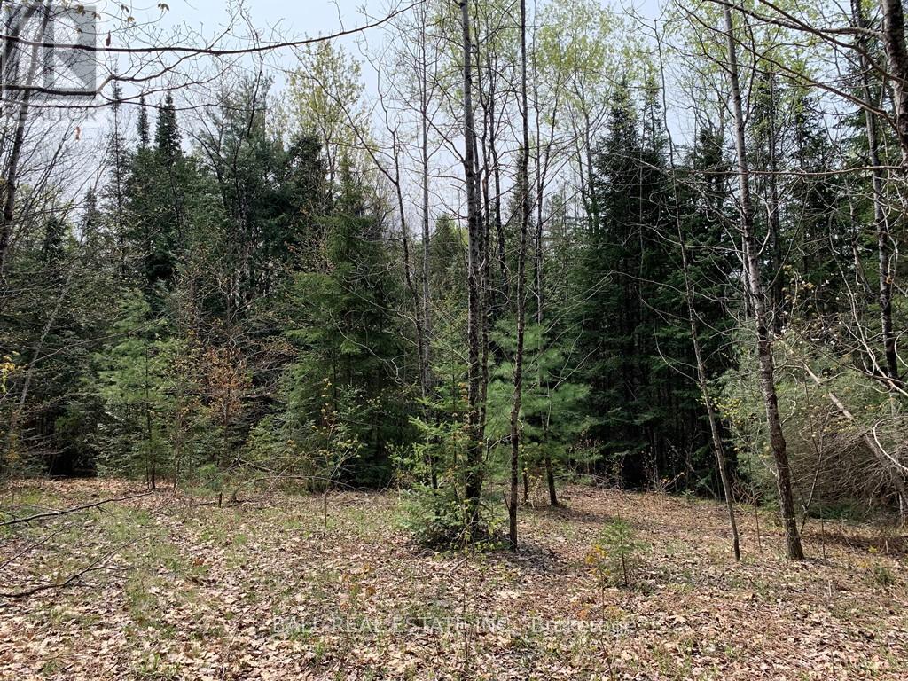 0 Johnson Road, North Kawartha, Ontario  K0L 1A0 - Photo 6 - X12117460