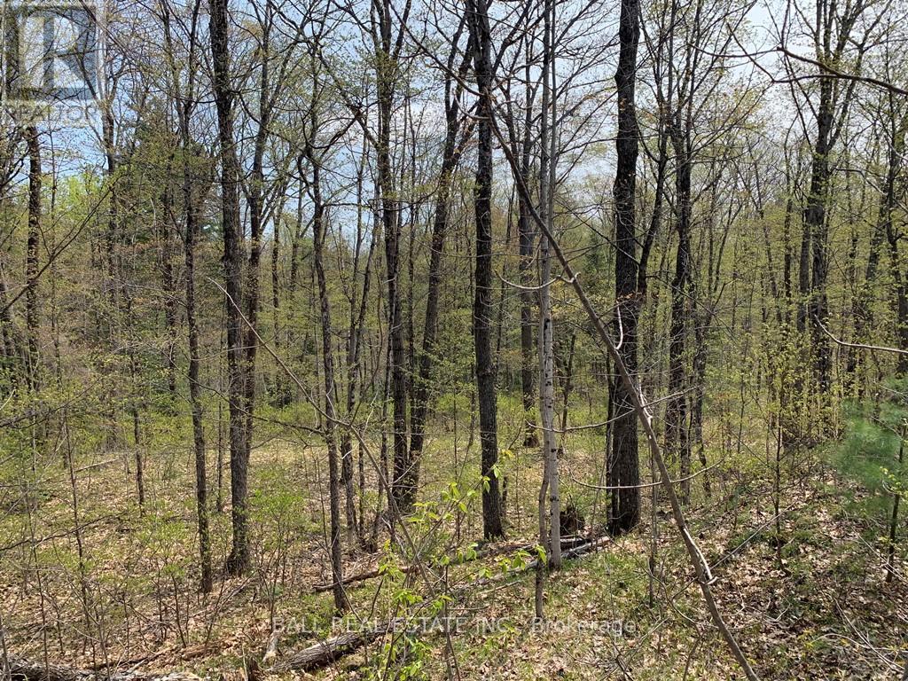 0 Johnson Road, North Kawartha, Ontario  K0L 1A0 - Photo 7 - X12117460