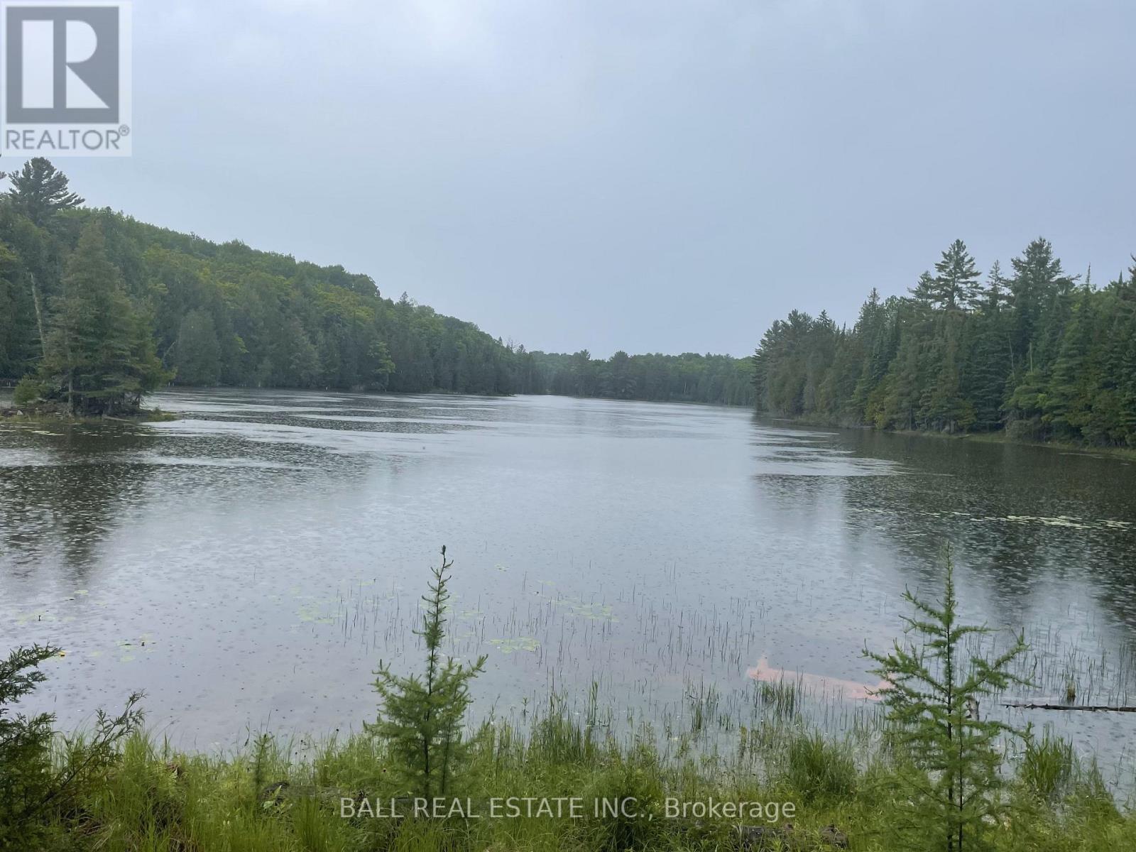 0 Johnson Road, North Kawartha, Ontario  K0L 1A0 - Photo 8 - X12117460