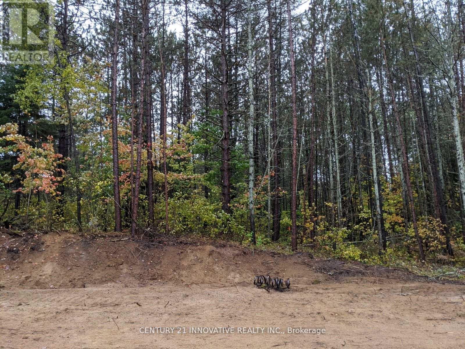 57 Bird Lake Road, Hastings Highlands (Herschel Ward), Ontario  K0L 1C0 - Photo 7 - X12117719