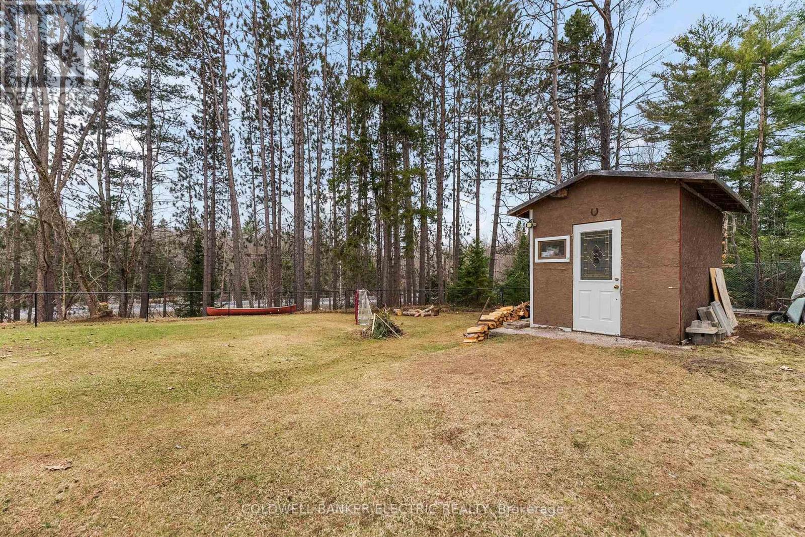 58 River Street, North Kawartha, Ontario  K0L 1A0 - Photo 31 - X12119361