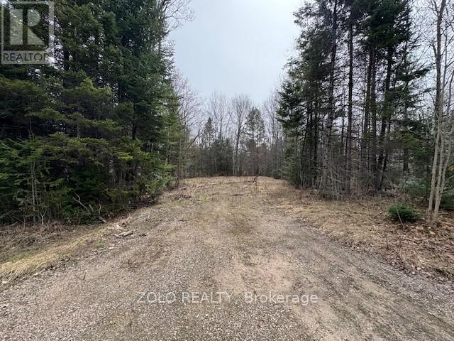 1040 Holmes Road, Highlands East (Monmouth), Ontario  K0L 3C0 - Photo 11 - X12119252