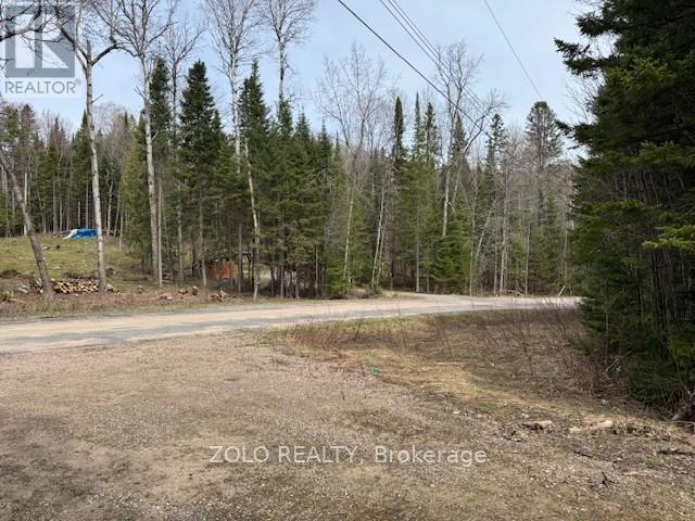 1040 Holmes Road, Highlands East (Monmouth), Ontario  K0L 3C0 - Photo 12 - X12119252