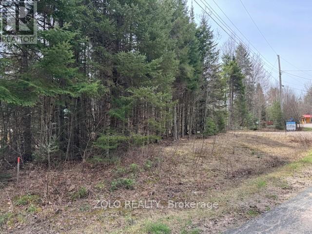 1040 Holmes Road, Highlands East (Monmouth), Ontario  K0L 3C0 - Photo 13 - X12119252