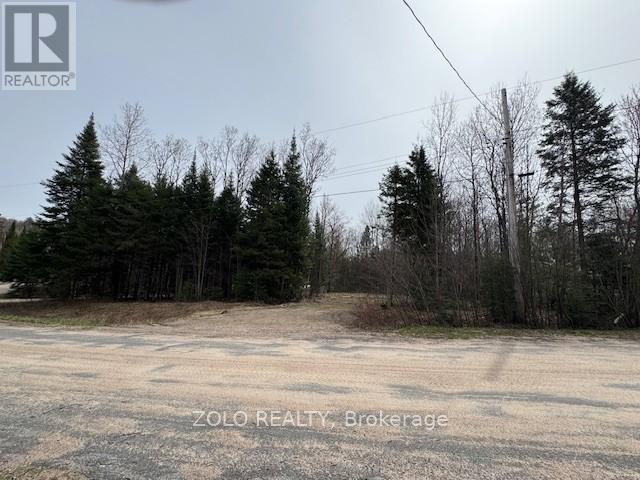 1040 Holmes Road, Highlands East (Monmouth), Ontario  K0L 3C0 - Photo 14 - X12119252