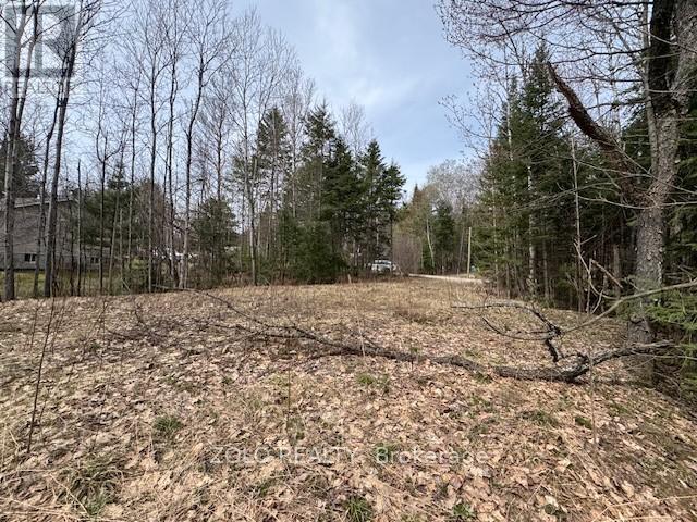 1040 Holmes Road, Highlands East (Monmouth), Ontario  K0L 3C0 - Photo 15 - X12119252