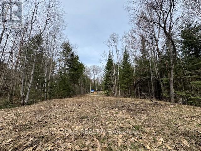1040 Holmes Road, Highlands East (Monmouth), Ontario  K0L 3C0 - Photo 16 - X12119252