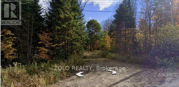 1040 Holmes Road, Highlands East (Monmouth), Ontario  K0L 3C0 - Photo 2 - X12119252