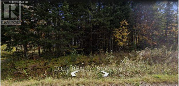 1040 Holmes Road, Highlands East (Monmouth), Ontario  K0L 3C0 - Photo 3 - X12119252