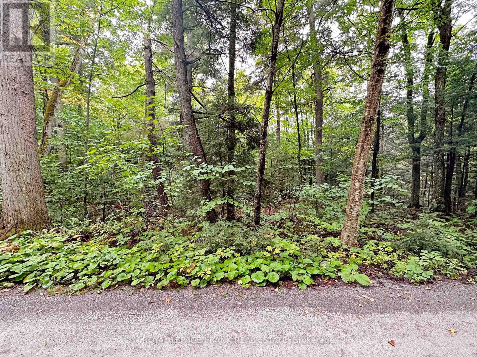 0 Fire Route 267, Trent Lakes, Ontario  K0L 1J0 - Photo 14 - X12119828
