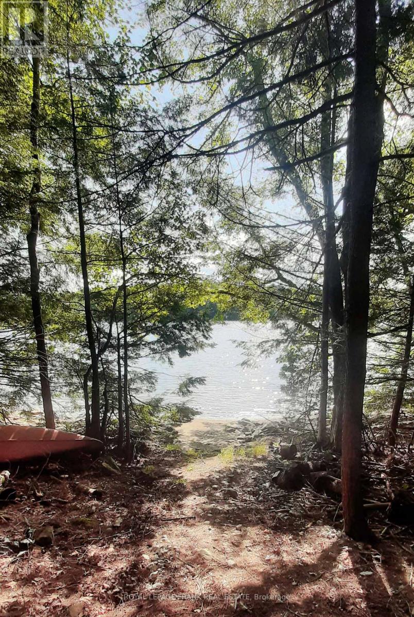 0 Fire Route 267, Trent Lakes, Ontario  K0L 1J0 - Photo 4 - X12119828