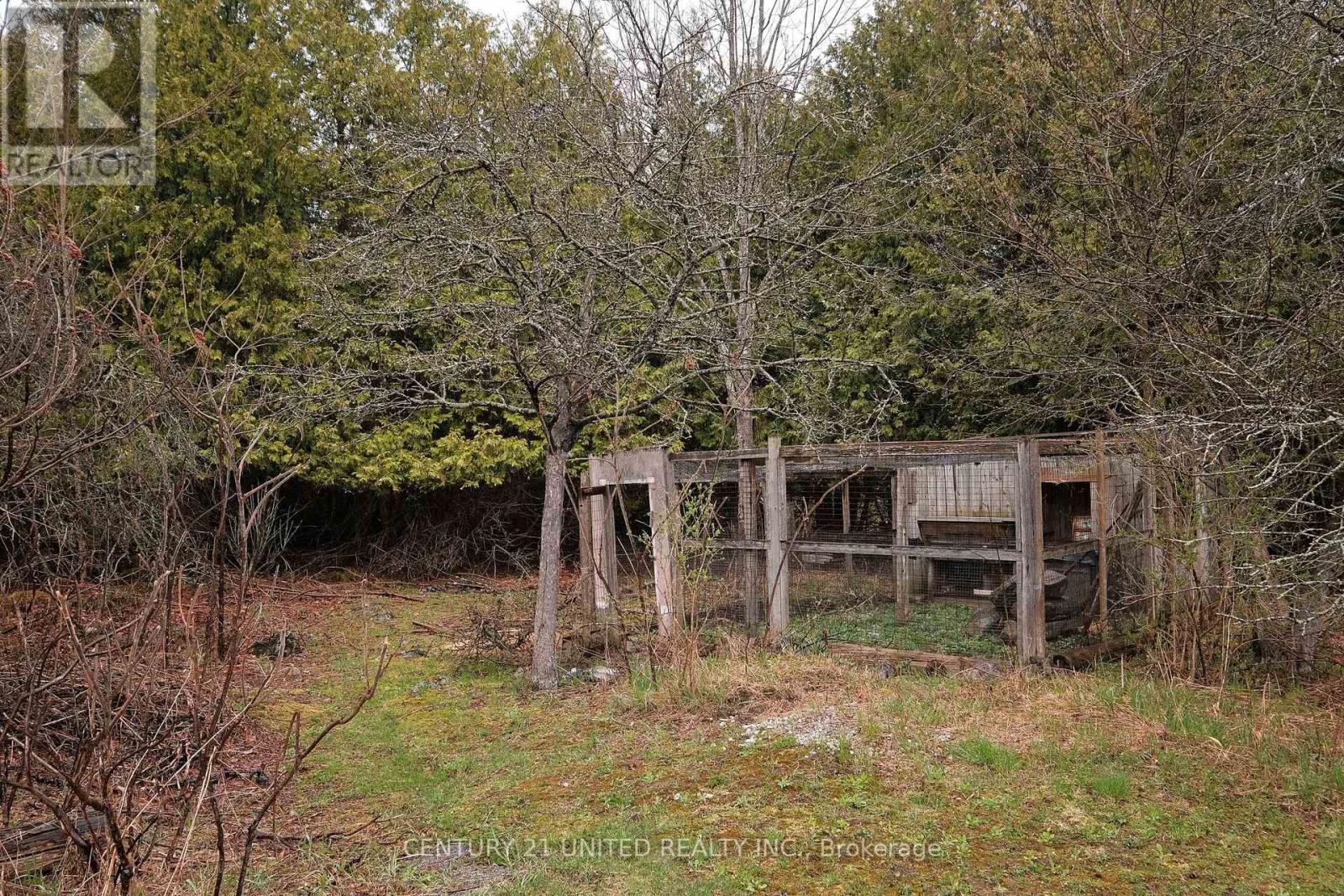 4095 Hwy 28, Selwyn, Ontario  K0L 2H0 - Photo 39 - X12120079