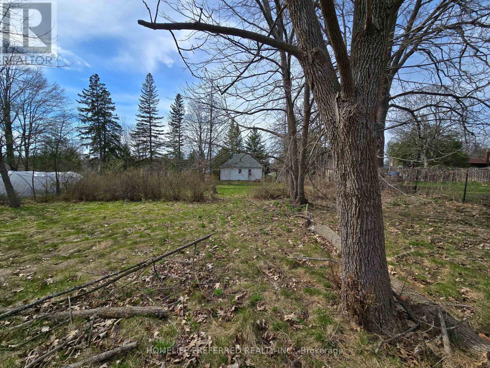 119 Dumble Avenue, Peterborough North (South), Ontario  K9H 5A9 - Photo 20 - X12121017