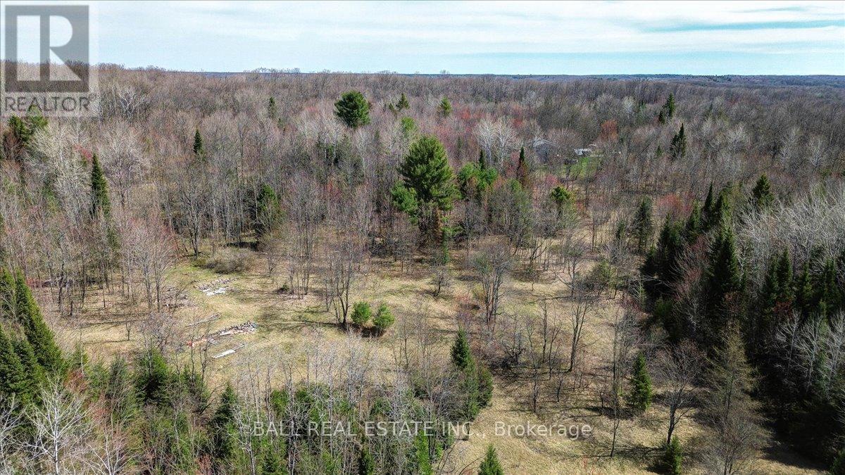 61 North Rusaw Road, North Kawartha, Ontario  K0L 1A0 - Photo 19 - X12121148