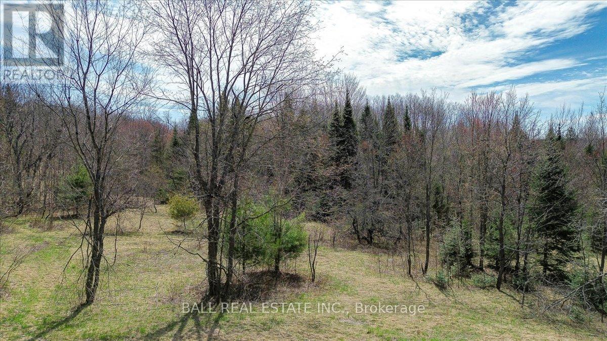 61 North Rusaw Road, North Kawartha, Ontario  K0L 1A0 - Photo 20 - X12121148