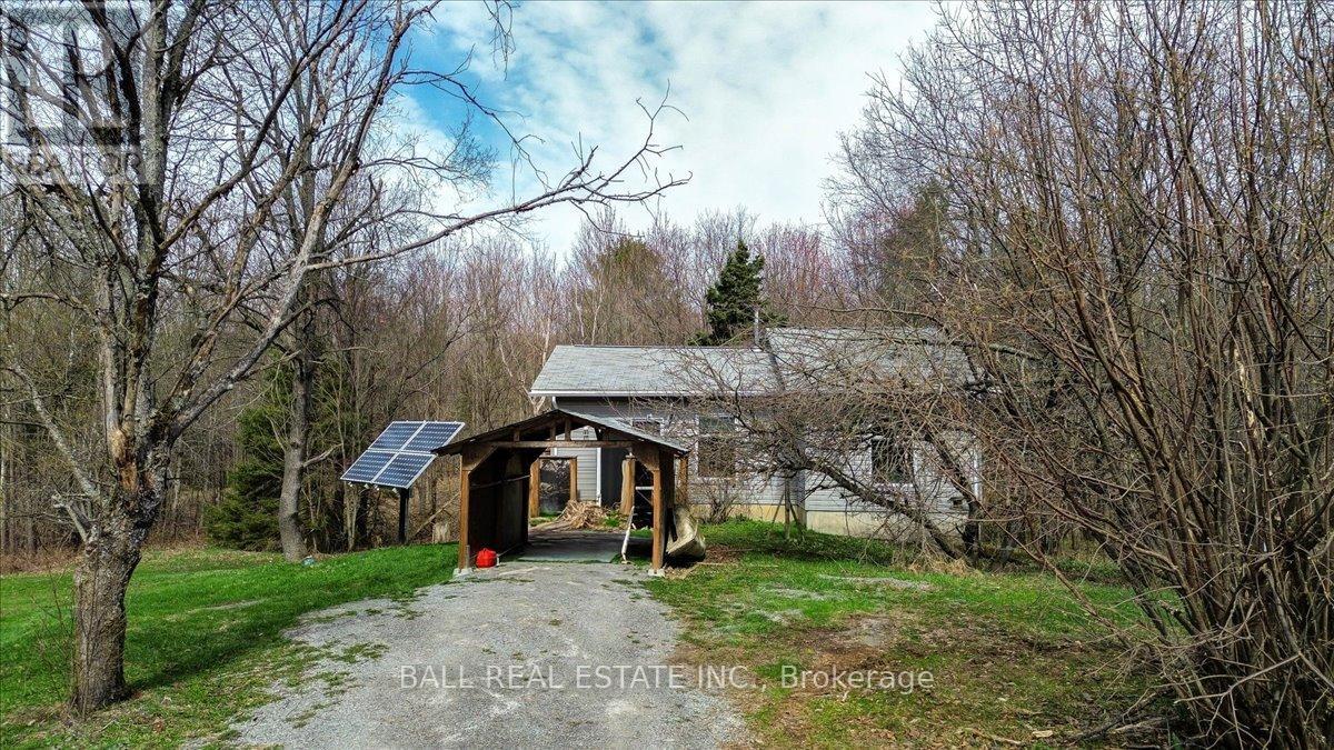 61 North Rusaw Road, North Kawartha, Ontario  K0L 1A0 - Photo 22 - X12121148