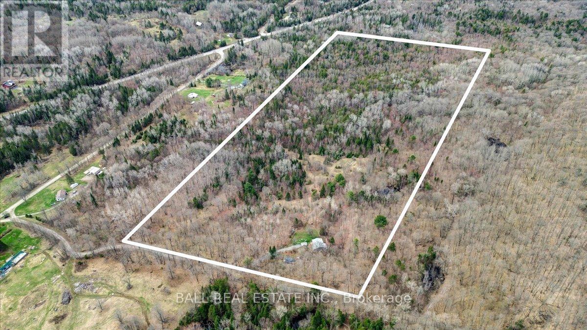61 North Rusaw Road, North Kawartha, Ontario  K0L 1A0 - Photo 26 - X12121148