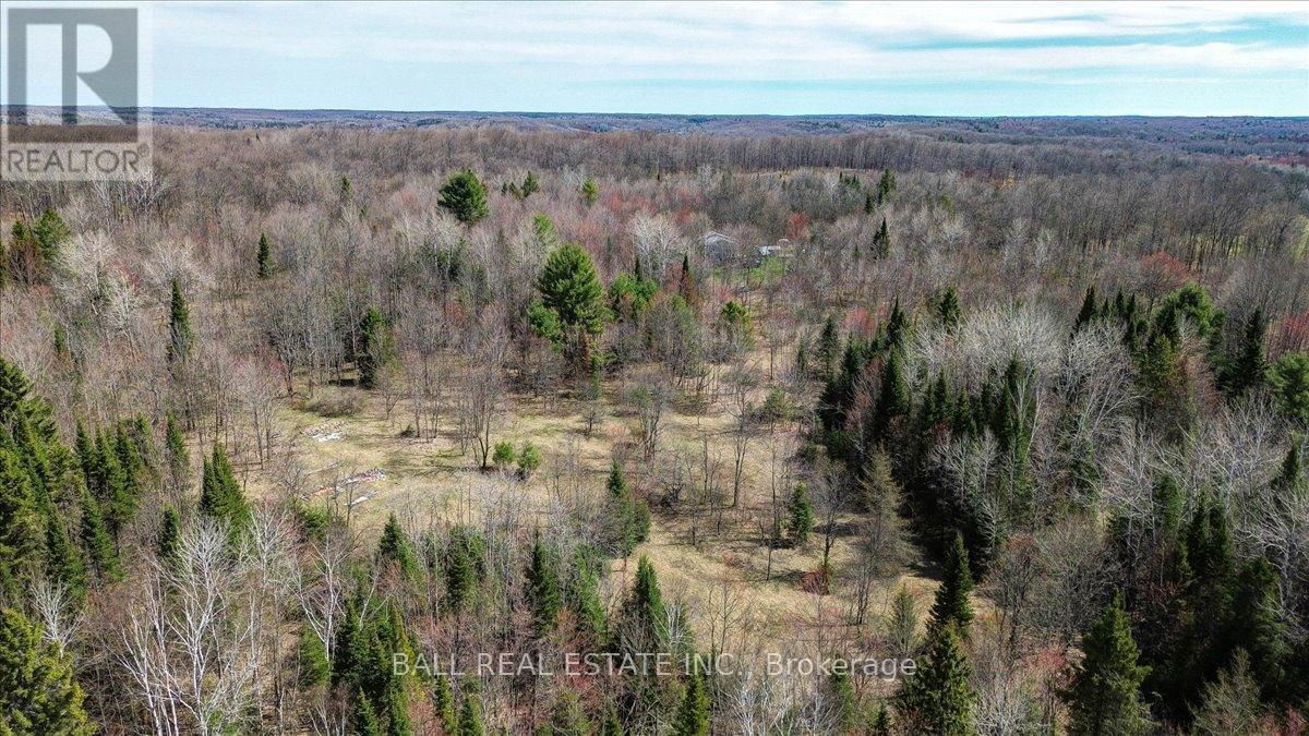 61 North Rusaw Road, North Kawartha, Ontario  K0L 1A0 - Photo 29 - X12121148