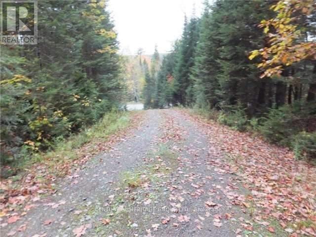 1646 Kennisis Lake Road, Dysart Et Al (Guilford), Ontario  K0L 1S0 - Photo 2 - X12123055