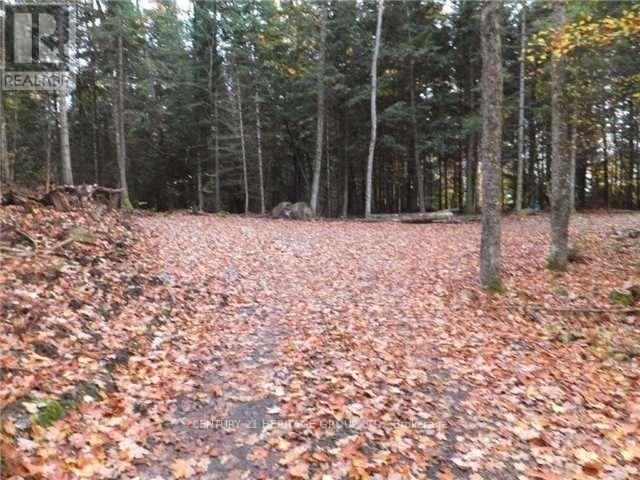 1646 Kennisis Lake Road, Dysart Et Al (Guilford), Ontario  K0L 1S0 - Photo 3 - X12123055