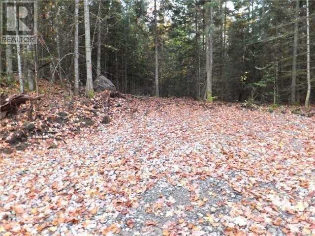 1646 Kennisis Lake Road, Dysart Et Al (Guilford), Ontario  K0L 1S0 - Photo 4 - X12123055
