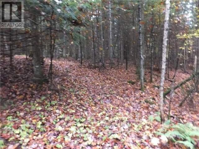 1646 Kennisis Lake Road, Dysart Et Al (Guilford), Ontario  K0L 1S0 - Photo 5 - X12123055