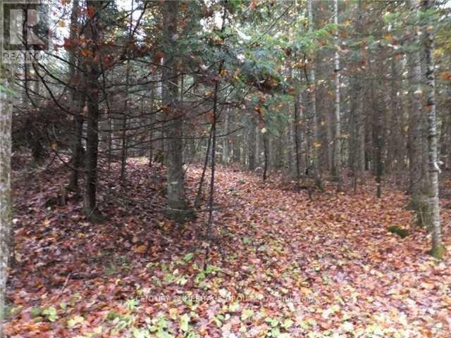 1646 Kennisis Lake Road, Dysart Et Al (Guilford), Ontario  K0L 1S0 - Photo 6 - X12123055