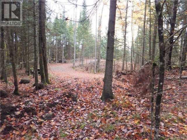 1646 Kennisis Lake Road, Dysart Et Al (Guilford), Ontario  K0L 1S0 - Photo 7 - X12123055